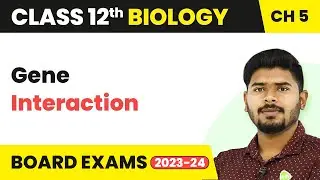 Gene Interaction - Principles of Inheritance and Variation | Class 12 (2022-23)