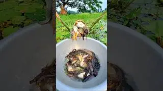 Amazing Fishing Techniques by Plastic Pipe in Beel water #fishing #fishvideo #fishingtechniques
