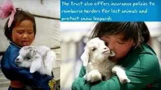 Project Snow Leopard