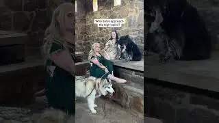 Two high fae with their beasts  #FaeVibes #FantasyLife #DogCompanions #fairycore #cosplayer #booktok