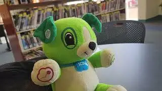 Scout visits the library. Part 1 | MY my pal Scout