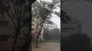 #Nature lover, #Bangalore climate,# Rainy season,#super slow motion,#ambalipura