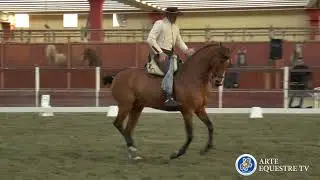 AAEE Italia - Campionato Italiano Doma Vaquera 2018 - 2&deg; Tappa - Alessandro Uggeri