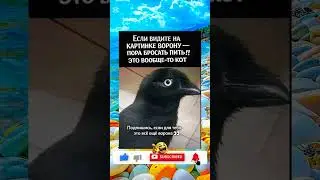 #юмор #шуточное #анекдот #смехпродлеваетжизнь #смех #смешновидео #смешнойшортс #прикол