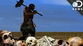 What Killed Off The Neanderthals?