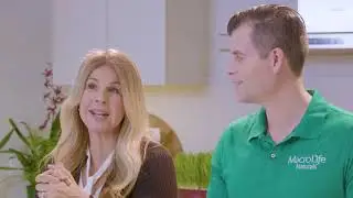 Learn about the ingredients in MacroLife Naturals Macro Greens Products