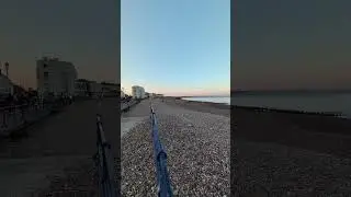 Lone Seagull on the beach at dusk