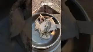Fish for dogs | dog fish eating | how to grow dogs taller