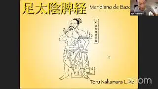 SHINKYU 鍼灸 - ACUPUNTURA JAPONESA - Webinar: los puntos de bazo - parte 1