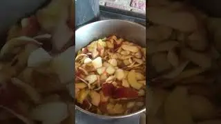 First step in making apple scrap jelly-cooking peels & cores in filtered water