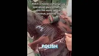 Glazing Exotic Leather