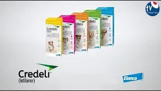 Credeli - VT