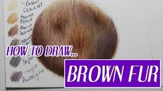 REALISTIC BROWN FUR | Coloured Pencil Tutorial | Christmas Advent Day 5 ❄️