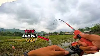 UL CASTING‼️Pematang Sawah Jadi Tempat Parkir Ikan Untuk Menyambar Umpan  | Relix Gasak 642