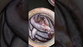 Amazing Pabda Fish Cutting #shorts #skills