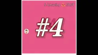 amazing facts #factsking