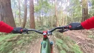 Waynos | Bulli DH