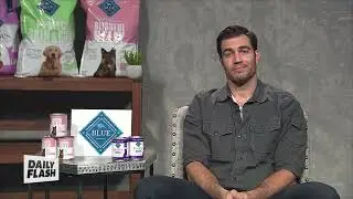 Pet Food Sensitivity and the Holidays | Dr. Evan Antin | Daily Flash