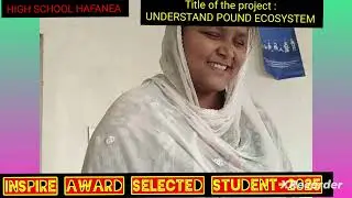To understand Pond Ecosystem||Model||Inspirational award 