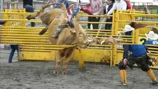 Wild Western Events Trailer
