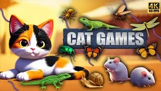CAT GAMES &ndash; Mouse Chase with Rolling Balls & Toy Obstacles  Video for Cats
