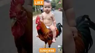Cute baby funny video 🤣chicken 🐔🐔🐔 #shorts #viral #trending #youtubeshorts #cutebaby funny video 🤣🤣🤣