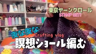 Easy! Meditation Shawl | Color Scheme I Want to Knit | Tokyo Yarn Crawl | Purchased Items |