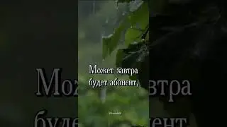 16 августа 2024 г.