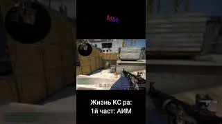 жизнь ксра #short #csgoshort #csgomeme