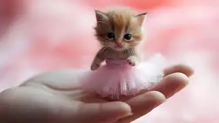 Не смейся 😂 Новые смешные видео с кошками и собаками 😹🐶 Часть 3