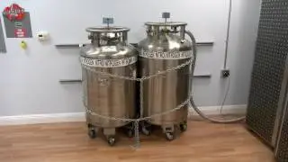 GRAND OPENING : California Cryo