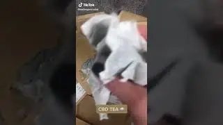 CBD Tea