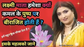 माता लक्ष्मी क्यों बैठती हैं कमल के फूल पर ? इसके महत्व जानलीजिये! #astrology #dryrakhi #viralvideos