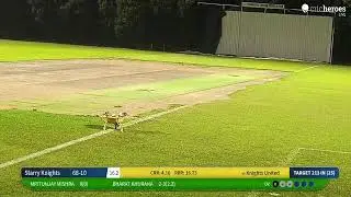 Starry Knights vs Knights United live cricket match | SGIA-SHL-Season 2 live - Singapore Indian Asso