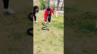 A big snake came out of the ground funny short #shortvideo #funny #comedy #funnyshorts #short