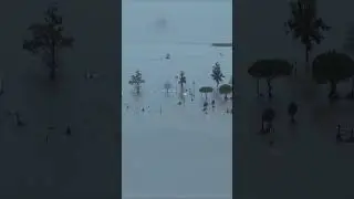 Storm Leonardo Floods Portugal; 70-Year-Old Man Killed |  DRM NEWS  | AC1I