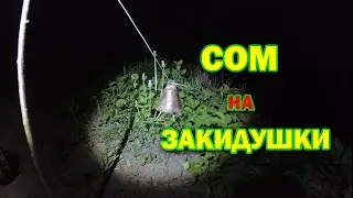 Ловля сома на закидушки!''Дідовський'' метод ловлі сома. Ловля сома на р.Збруч.