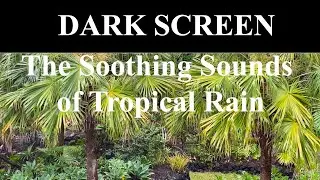 GENTLE RAIN Sounds - BLACK SCREEN | Sleep and Meditation | Dark Screen Nature Sounds