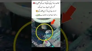 Heartbreaking Flood Story &ndash; A Man Loses Everything #EmotionalStory #FloodDisaster #HumanStruggle