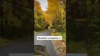 Fall in Muskoka - @Selenalakehouse