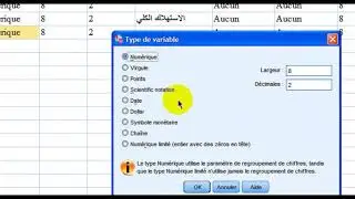 طريقة تثبيت اللغة العربية ببرنامج SPSS و التعرف على واجهة البرنامج