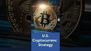 David Sacks Critiques U S  Cryptocurrency Strategy and Its Costs to Taxpayers #shorts #usa #news