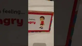 Feelings and Emotions Flip Chart