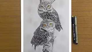 HOW TO DRAW OWL 🦉 || DRAW WITH ME TWO QUITE OWLS STEP BY STEP || REALISTIC BIRD DRAWING WITH PEN 🖊️