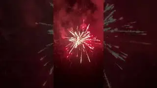 Corona killer 318 shot firework