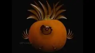 Happy Thanksgiving from GIFcreator