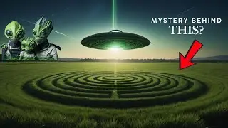 Whats The Mystery Behind These Signs ? #cropcircles