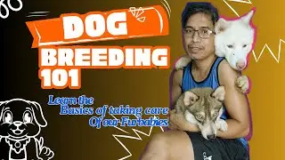 DOG BREEDING 101 : learn all about basic taking care of your Pets #dogbreed #dogbreedinginformation
