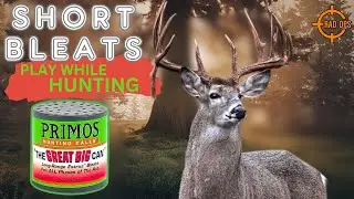 Sound Only: Short Beats &ldquo;Primos Long Range Can&rdquo; (Play With Speaker While Hunting)