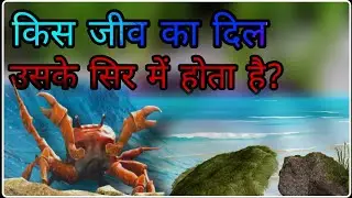 Crystal clear A2Z, general knowledge, top 10 GK question, daily current affair